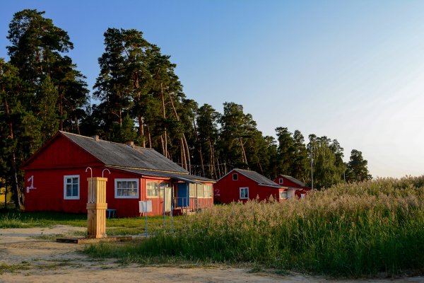 Фото Кемпинг «Лес»