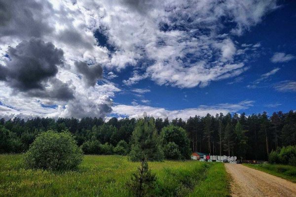 Фото Парк отдыха «Олений бор»