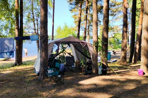 Фото Парк отдыха «Олений бор»