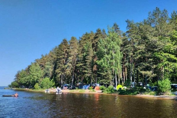 Фото Парк отдыха «Олений бор»