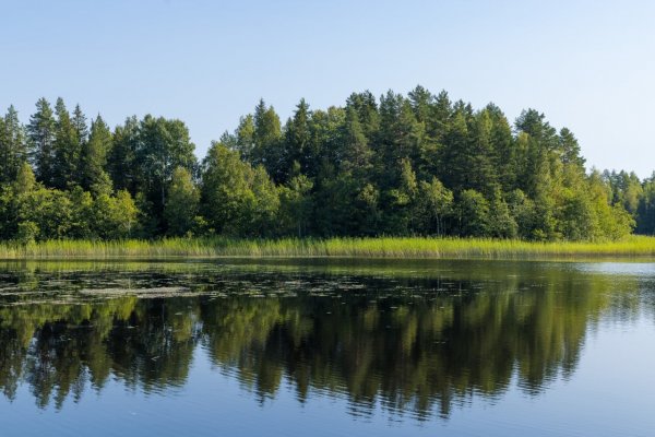 Фото Экопарк «Большая Рыба»