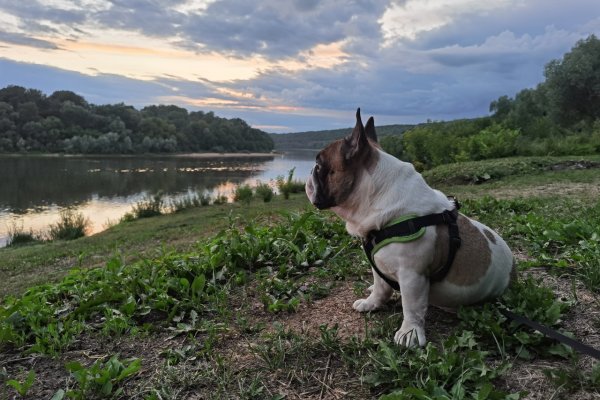 Фото Туристический комплекс «Кудеяр»
