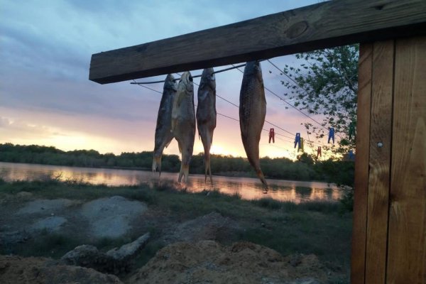 Фото Кемпинг «Будем Жить»