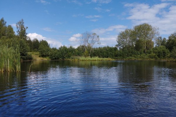 Фото Усадьба «Батово-Елизаветино»
