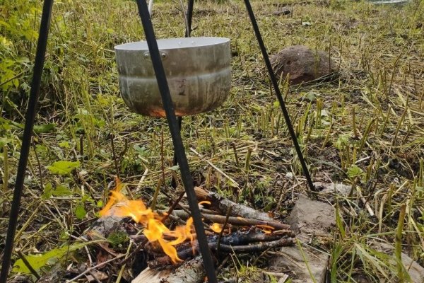 Фото Усадьба «Батово-Елизаветино»