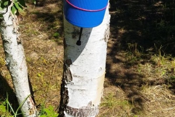 Фото Усадьба «Батово-Елизаветино»