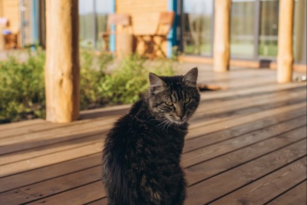 Фото Кемпинг «Farm&Village»