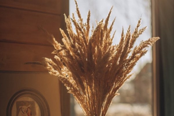 Фото Кемпинг «Farm&Village»