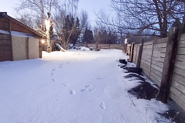 Фото Гостевой дом Прозоровых