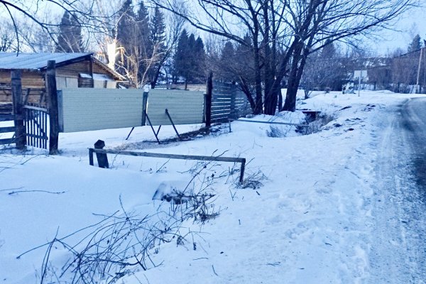 Фото Гостевой дом Прозоровых