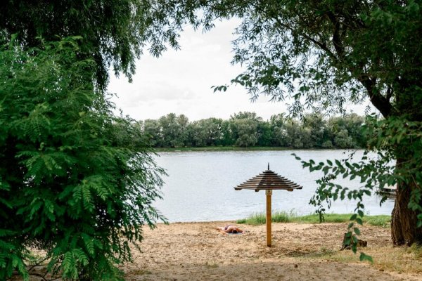 Фото Наша фазенда