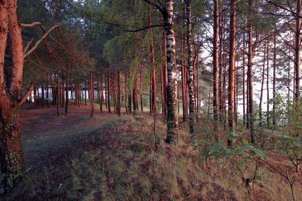 Фото Кемпинг «Легково»