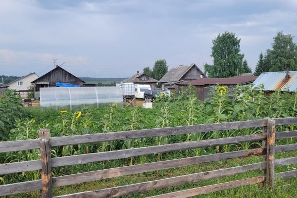 Фото Ферма Марии