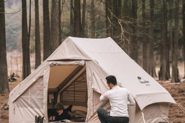 Фото Вилрайд