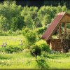 Фото Дендропарк в Смоленском поозёрье