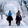 Фото ССК Вайцеховский и Сын