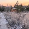 Фото Глэмпинг «Зелёная тропа»