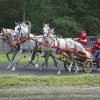 Хорошевский коневодческий комплекс