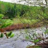 Фото База отдыха «Лукоморье»