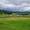 Фото Мараловодческое хозяйство «СЭБИ»