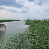 Фото База отдыха «FISH-CLUB»