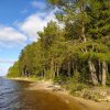 Фото Парк отдыха «Олений бор»