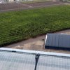 Фото Винодельня Uzumfermer