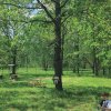 Фото Экоферма «Смородиновский барашек»