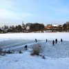 Фото База отдыха «Иволга»