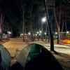 Фото Кемпинг «Роща у моря»