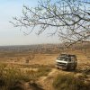 Фото Van&Where