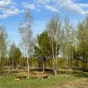Фото Близкие Дали