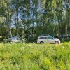 Фото Близкие Дали
