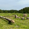 Фото Близкие Дали