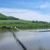 Нугушское водохранилище