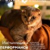 Фото Слёт под рюкзаком 2026