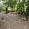 Фото Кемпинг Можжевельник