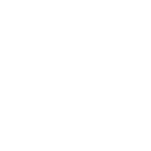 Свадьба Фест