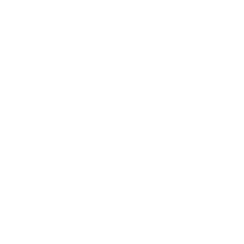Дикая мята 2025