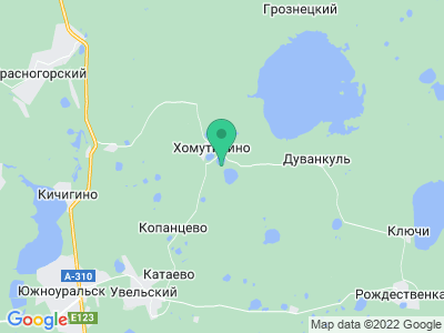 Карта Кемпинг "Березовый край"