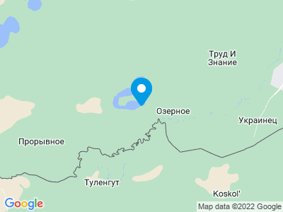 Карта Кемпинг «Лес»